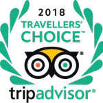 TripAdvisor Traveller's Choice Award Logo