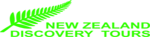 NZ Discovery Logo